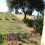Mik E Ramo Abbadia di Fiastra