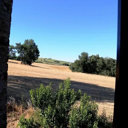 Mik E Ramo