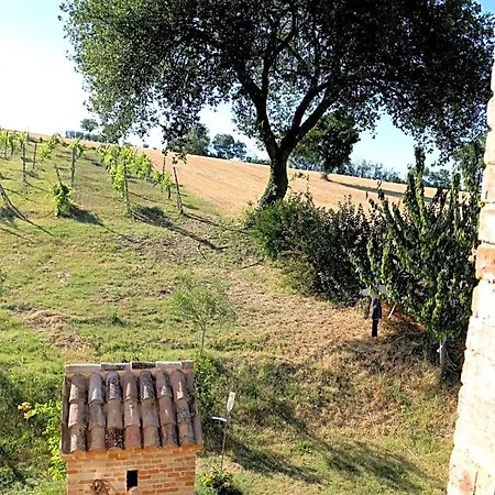 Mik E Ramo 3*